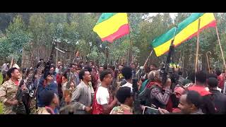 addis dimta abebe belew abebebelew addisdimts amhara fano zemedkunbekele zemedkun [upl. by Woehick]