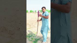 Arshad Nadeem new record  Javelin final 2024  New viral video shorts short viral arshadnadeem [upl. by Levona]