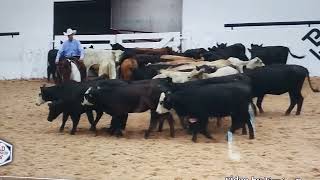 APHA World 2024 [upl. by Hedvige]