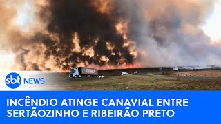 Incêndio atinge canavial entre Sertãozinho e Ribeirão Preto ribeiraopreto [upl. by Marmion]