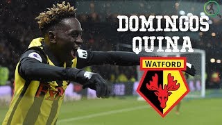 DOMINGOS QUINA  WATFORD WONDERKID [upl. by Nade]