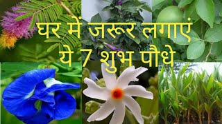 हर घर में जरूर लगाने चाहिए ये 7 शुभ पौधे7 Lucky Plants For Every HomeAnveshas creativity [upl. by Relyhcs]