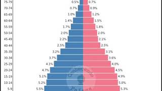 🌎 MUNDO  PIRÂMIDE ETÁRIA amp POPULACÃO  1950  2100 [upl. by Robers]