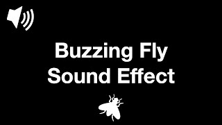 Buzzing Fly  Sound Effect 4K [upl. by Suilenrac6]