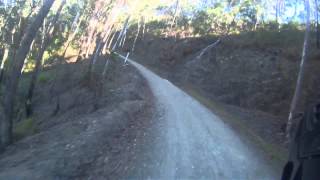 DAguilar National Park Mt Mee quotRange Road Forest Drivequot Brisbane QLD Australia [upl. by Glorianna162]