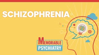 Psychosis amp Schizophrenia Mnemonics Memorable Psychiatry Lecture [upl. by Platus]