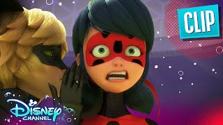 PenalTeam  Miraculous Ladybug  disneychannel x Miraculous [upl. by Drake484]