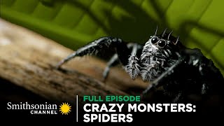 Crazy Monsters Spiders 🕷️ FULL EPISODE  Smithsonian Channel [upl. by Welford574]