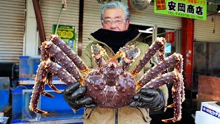 Japanese Street Food  GIANT ALASKAN KING CRAB Sashimi Hakodate Hokkaido Seafood Japan [upl. by Irina888]