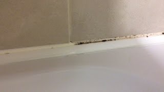 How to remove and kill mold  mould [upl. by Rida553]