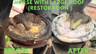 Shire Horse Complete restoration Shire Horse Restoration Compilation shirehorse huge massivehoof [upl. by Ysac]