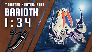 MH Rise PC  Barioth  LS Solo  013438 [upl. by Lledroc383]