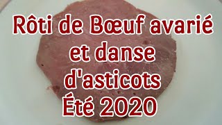 Rôti de Bœuf avarié et danse dasticots en été 2020  qui a faim  Une mouche passe [upl. by Luing137]