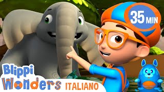 Elefanti  Blippi Wonders in Italiano  Video educativi per bambini [upl. by Notreve]