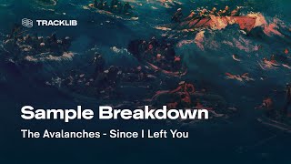 Sample Breakdown The Avalanches  Since I Left You [upl. by Sunil412]