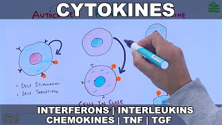 Cytokines  Classification and Functions [upl. by Belak118]