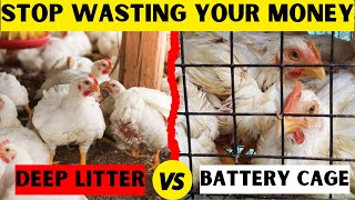 HERE IS THE ONLY SYSTEM THAT WILL EARN YOU MORE MONEY  BATTERY CAGE SYSTEM VS DEEP LITTER SYSTEM [upl. by Teerprah427]