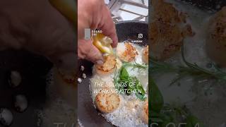 Scallops for dinner [upl. by Meras]