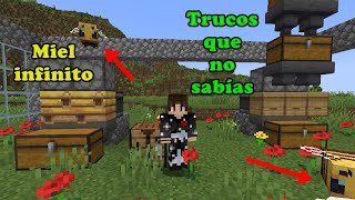 Como hacer Granja de Miel Automatica Minecraft e Apiario Infinitos [upl. by Heidt62]