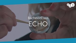 Echo BachelorClass  Your introduction to basic echocardiography [upl. by Yllil]