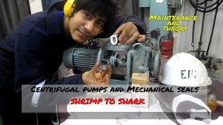 Centrifugal Pumps and Mechanical Seals  Maintenance and Theory [upl. by Oiramat452]