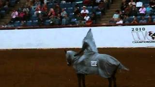 Freestyle Reining  Appaloosa World Show Part 2wmv [upl. by Nimref974]