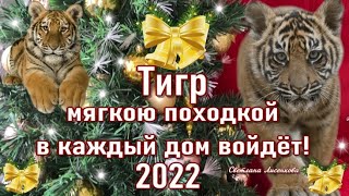 Год Тигра 2022 год Тигр мягкою походкой в гости к нам идёт [upl. by Sire404]