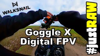 Walksnail Goggles X erster Eindruck der neuen genial FPV Brille justRAW [upl. by Assiran]