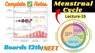 Menstrual cycle Class 12th Complete ✅ For Boards and NEET Notes BYIsrar Sir MBBS MEDICO biology [upl. by Nosnevets]