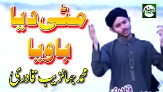 MITTI DEYA BAWIYA  MUHAMMAD JAHANZAIB QADRI  OFFICIAL HD VIDEO  HITECH ISLAMIC  BEAUTIFUL NAAT [upl. by Eaj]