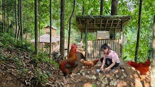 Full Video 210 Days of building a farm growing vegetables raising chickens  Living with nature [upl. by Roxie]