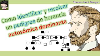 Como Identificar y resolver un pedigree de herencia autosómica dominante 🧬 [upl. by Pisano]