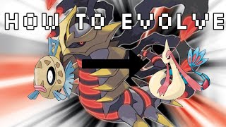 How To Evolve Feebas Into Milotic In Pokemon Diamond Pearl And Platinum Versions [upl. by Andrej345]