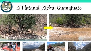 Nos vamos al Platanal en XichÃº Guanajuato  Parte 2 [upl. by Jaclyn]