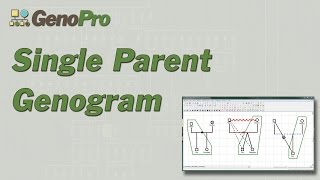 Single Parent Genogram in GenoPro [upl. by Goar927]