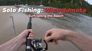 Surfcasting off Whangamata Beach with Sabiki Rigs and caught THESE [upl. by Ahto]