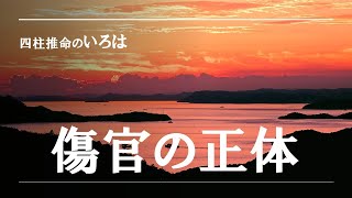 四柱推命のいろは・通変星、傷官の正体 [upl. by Berky]