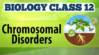 Class 12 BiologyCHROMOSOMAL DISORDERS Principles of inheritance variation 2PU biostudymadeeasy​ [upl. by Notniv]