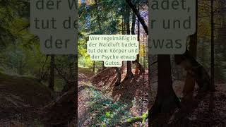 Waldbaden Tag des Waldes [upl. by Ferino397]