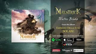 Maestrick  Water Birds Official Audio [upl. by Yarak591]