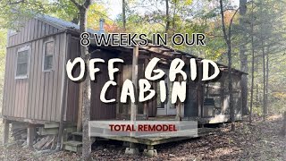 SHED TO OFF GRID CABIN living in it while we renovate in 8 weeks [upl. by Aminta890]