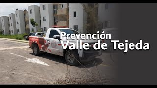 Mantenimiento de Bardas y Canaletas en Valle de Tejedal [upl. by Artap]