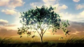 Video background Tree growing at sunrise Object in the middle 000007064773 HD1080Video [upl. by Aspa542]