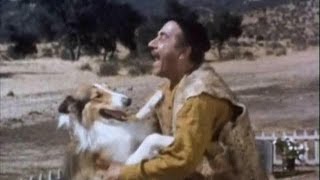 Lassie  Episode 400  quotTemper the Windquot Season 12 Ep 15  12191965 [upl. by Eagle463]