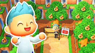 💸🌲How to Make a Money Tree Orchard in Animal Crossing New Horizons🌲💸 [upl. by Abigael835]