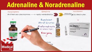 Pharmacology ANS 14 Direct Acting Adrenergic Agonists Adrenaline  Noradrenaline Isoprenaline [upl. by Yelekreb]