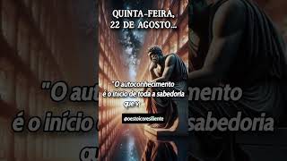 O PODER DO AUTOCONHECIMENTO 💪 sabedoriaestoica filosofiaestoica estoicismo reflexão [upl. by Carlyle]