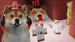 Lari Dari Kejaran Doggy Ganas Penculik Kucing  Roblox Indonesia [upl. by Marshal871]