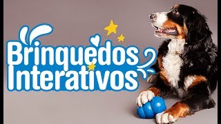 Review Brinquedos Interativos para Cachorros [upl. by Elatnahs]