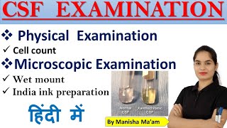 CSF Examination part2  Physical examination  Microscopic examination in hindi  Cell Count [upl. by Annay]